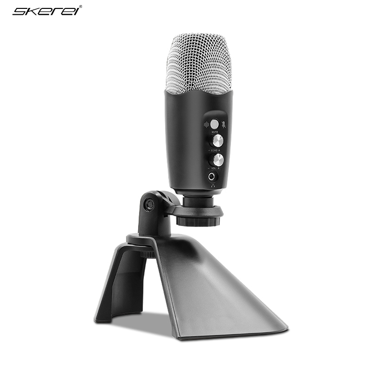 BM650 microphone